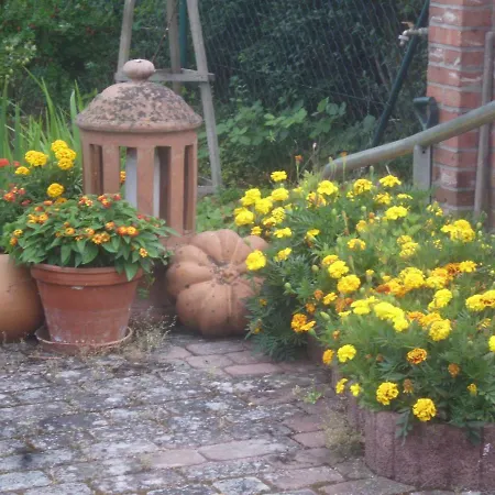 Guest house Lindenwirtin Neulewin