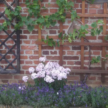 Guest house Lindenwirtin